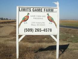 limits game farm